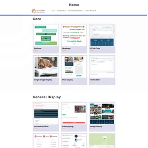Module Instruction On-page design help website by AccuNet Web Services